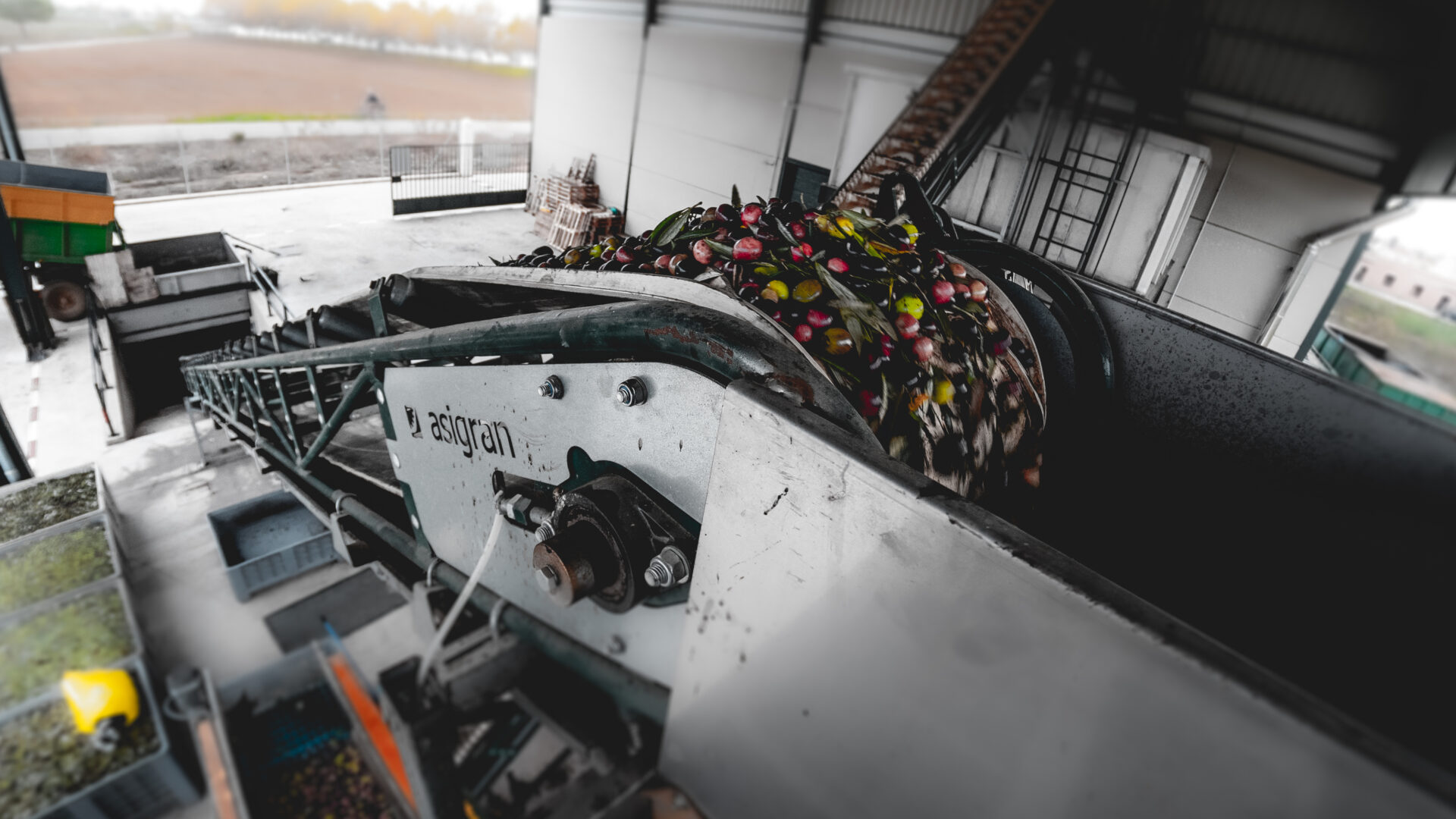 Molturación y batido en frío